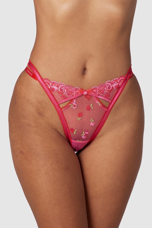 Lounge Underwear Blush Embroidered Briefs Rosa | WN5810792